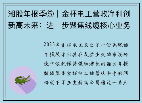 湘股年报季⑤｜金杯电工营收净利创新高未来：进一步聚焦线缆核心业务